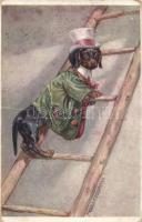 Dog in dress on the ladder, s: Mechle Grosmann