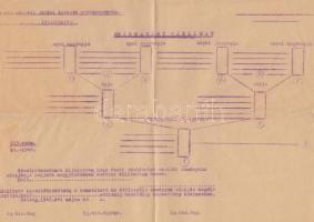 cca 1940 Levente parancsnokság kitöltetlen leszármazási táblázat