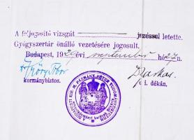1926 Gyógyszerész diploma, hátoldalán gyógyszertárnyitási engedéllyel 75x54 cm