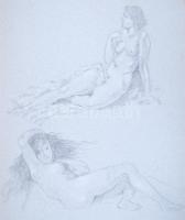 Sági '931 jelzéssel: Anatómiai tanulmányok. Grafit, papír, füzetbe kötve, 27 lapon, 32x24,5cm