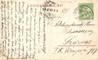 Salgótarján Fő utca, Lőwy Izidor könyvkereskedése, Laufer testvérek áruháza, Friedler Ármin üzlete