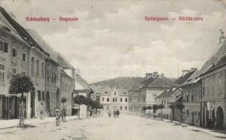 Segesvár Hospital street (EK)