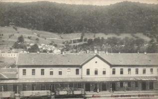 Anina railway station