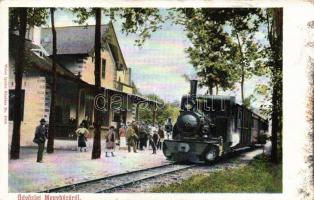 Menyháza railway station, locomotive