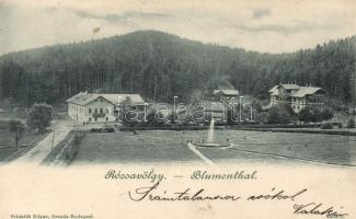 Rózsavölgy, Blumenthal