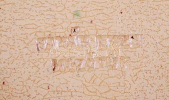 Badár Erzsi (1889-1985) jelzett, kézzel festett, mázas kerámia kulacs (lábain sérült) / 
Hand made, ...