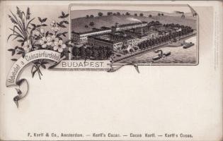 Budapest II. Császár fürdő, litho (EK)