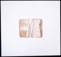 Koronczi Endre (1968-): Ágak. Rézkar EA X/9, papír, jelzett, 14×11 cm