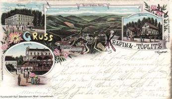 1899 Krapina-Teplic sanatorium, park, Bellevue, litho (EK)