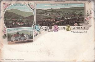 1898 Sulz Stangau sanatorium litho (fa)