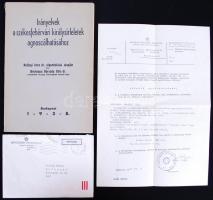 Bevilagua Borsody Béla: Irányelvek a székesfehárvári királysírleletek agnoscálhatásához. Fűzve eredeti borítóban. Bp., 1938. Dedikált! Hozzátartozik a szerző tintával írt köszönö levele és a Művelődési minisztérium 1987-es védetté nyilvánító határozata