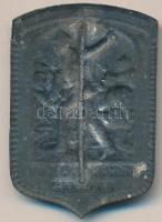 Osztrák-Magyar Monarchia 1914-1916. "K.u.K. Kézigránátvető" cink sapkajelvény (40x27mm) tű...