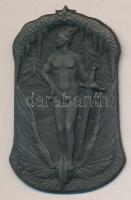 Osztrák-Magyar Monarchia 1916. "Karácsony a csatamezőn K.u.K. 9. Szállító Csapatok" cink sapkajelvény (42x26mm) készítő: Arkanzas Bp., tű nélkül T:2 Austro-Hungarian Monarchy 1916. "WEICHNACHTEN IM FELDE 1916 - K.u.K. FELDTRANSPORTLEITUNG No.9" zinc cap badge (42x26mm) maker: Arkanzas Bp., without pin C:XF