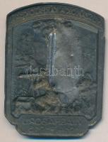 Osztrák-Magyar Monarchia 1914-1916. "HUSZÁROK A KÁRPÁTOKBAN - VILÁGHÁBORÚ 1914-1916" cink ...