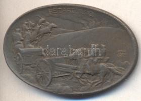 Osztrák-Magyar Monarchia 1916. "10. Lovastüzér osztag" bronzozott cink sapkajelvény (27,5x41mm) szignó: BERÁN LAJOS 1916; tű nélkül T:2- Austro-Hungarian Monarchy 1916. "REIT.ART.DIV.10." brass-plated zinc cap badge (29x42mm) sign: BERÁN LAJOS 1916; without pin C:VF