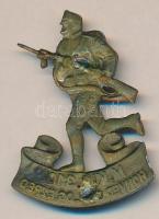 Osztrák-Magyar Monarchia 1914-1916. "M.KIR. 310. HONVÉD GYALOGEZRED" bronzozott fém sapkaj...