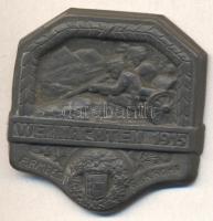 Osztrák-Magyar Monarchia 1915. "Armegruppe Rohr - Karácsony" cink sapkajelvény (35x34mm) tű nélkül T:2 Austro-Hungarian Monarchy 1915. "ARMEEGR. G.d.K. ROHR - WEIHNACHTEN 1915" zinc cap badge (35x34mm) without pin C:XF