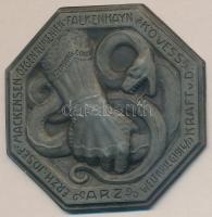 Osztrák-Magyar Monarchia 1914-1917. Romániai front cink sapkajelvény (40x40mm) készítő: ARKANZAS GESCH., tű nélkül T:2 Austro-Hungarian Monarchy 1914-1917. "Gegen Rumenien - Falkenhayn - Kövess - Kraft v.D. Weltkrieg 1914/17 - Arz - Erzh.Josef - Mackensen" zinc cap badge (4x040mm) maker: ARKANZAS GESCH., without pin C:XF