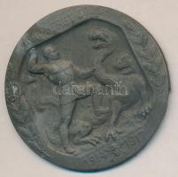 Osztrák-Magyar Monarchia 1914-1917. "K.u.K. 62. Gyalogezred" cink sapkajelvény (39x39mm) tű nélkül T:2 Austro-Hungarian Monarchy 1914-1917. "K.u.K. INF.RGT. 62. 1914-1917" (39x39mm) without pin C:XF