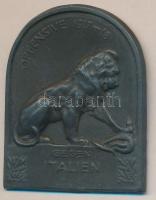 Osztrák-Magyar Monarchia 1914-1917. "Offenzíva Olaszország ellen 1917-18" cink sapkajelvény (44x34mm) tű nélkül T:2 Austro-Hungarian Monarchy 1914-1917. "OFFESNSIVE GEGEN ITALIEN 1917-18" zinc cap badge (44x34mm) without pin C:XF