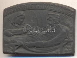 Osztrák-Magyar Monarchia ~1917. "VERWUNDET IM WELTKRIEG" cink sapkajelvény (41x29mm) szignó: W. HEIDA, készítő: Brüder Schneider Wien 5, tű nélkül T:2 Austro-Hungarian Monarchy ~1917. "VERWUNDET IM WELTKRIEG" zinc cap badge (41x29mm) sign.: W.HEIDA, maker: Brüder Schneider Wien 5, without pin C:XF