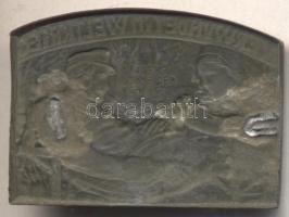 Osztrák-Magyar Monarchia ~1917. "VERWUNDET IM WELTKRIEG" cink sapkajelvény (41x29mm) szign...