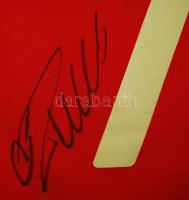 2009 Portugál válogatott 7-es meze, Cristiano Ronaldo aláírásával (hátul) és a válogatott több tagjá...