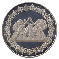 DN. Káma-Szútra Ag sorozat teljes 7db klf emlékérem verete (31.1g/0.999) T:PP Csak 1000db!