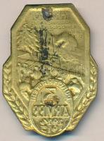 Osztrák-Magyar Monarchia 1914-1915. "3. Hadsereg Kárpátok átkelése 1914-15" tombak (aranyo...