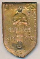 Osztrák-Magyar Monarchia 1914-1917. "29. Gyalogezred" tombak sapkajelvény, készítő: "...