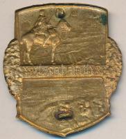 Osztrák-Magyar Monarchia 1914-1917. "HAUER Lovashadtest" tombak sapkajelvény (43x38mm) tű ...