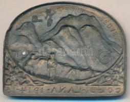 Osztrák-Magyar Monarchia 1914-1916. "COL.DI.LANA 1914-16" tombak sapkajelvény (32x41mm) sz...