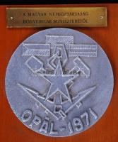 1971 "Opál - A Magyar Népköztársaság Honvédelmi Miniszterétől" katonai plakett, 11x13cm