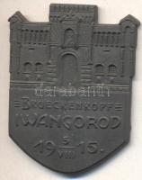 Osztrák-Magyar Monarchia 1915. "BRUECKENKOPF - IWANGOROD 1915.5.VIII" tömör cink sapkajelvény (42x32mm) tű nélkül T:2 Austro-Hungarian Monarchy 1915. "BRUECKENKOPF - IWANGOROD 1915. 5. VIII" solid zinc cap badge (42x32mm) without pin C:XF