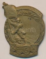 Osztrák-Magyar Monarchia / Oszmán Birodalom 1916-17. "XV. Oszmán Hadtest" tombak sapkajelvény (32x43mm) készítő: Entw.U. Ausgef.Atel.Gurschner Wien VII/2; tű nélkül T:2 Austro-Hungarian Monarchy / Ottoman Empire 1916-17. "XV. KAIS. OSM. ARMEEKORPS." tombac cap badge (32x43mm) maker: Entw.U. Ausgef.Atel.Gurschner Wien VII/2; without pin C:XF