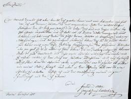 1833 gróf Eszterházy József német nyelvű bizalmas levele Sinnyi Gábor Pozsonyi ügyvédnek Románfalvár...