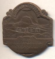 Osztrák-Magyar Monarchia 1916. "Lovcen Stiftung des k.u.k. Militär-General-Gouvernement in Montenegro. 10. Jän.1916" bronzozott tombak sapkajelvény (33x31mm) készítő: Ausgef.Atel.G. Gurschner Wien VII/2; tű nélkül T:2 Austro-Hungarian Monarchy 1916. "LOVCEN-STIFTUNG DES K.u.K. MILITAR-GENERAL-GOUVERNMNET IN MONTENEGRO 10. JAN. 1916" bronze-plated tombac cap badge (33x31mm) maker: Ausgef.Atel.G. Gurschner Wien VII/2; without pin C:XF