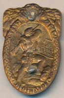 Osztrák-Magyar Monarchia 1914-1916. "Markgraf von Baden 23. Gyalogezred" matt sárgaréz sap...