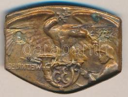 Osztrák-Magyar Monarchia 1914-1916. "K.u.K. 35. Honvéd Gyalogezred" tombak sapkajelvény (2...