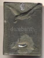 Osztrák-Magyar Monarchia 1916. "Proklamacya Polska 1916" cink sapkajelvény (35x26mm) készí...