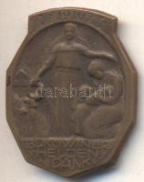 Osztrák-Magyar Monarchia 1916. "BUKOVINER HELDEN DANK" tombak sapkajelvény (33x25mm) készítő: Atel Gurschner Wien; tű nélkül T:2- Austro-Hungarian Monarchy 1916. "BUKOVINER HELDEN DANK" tombac cap badge (33x25mm) maker: Atel Gurschner Wien; without pin C:VF