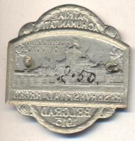 Osztrák-Magyar Monarchia 1915. "PATRIAE AC HUMANITATI RESERVESPITAL BRCKO BELGRAD 1915" ez...