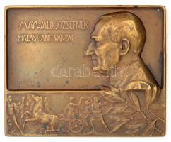 Liipola Yrjö (1881-1971) 1910. "Maywald Józsefnek Hálás Tanitványai" bronz emlékplakett (48x59m) T:2