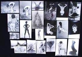 cca 1960 21db erotikus és pornó fotó /  Vintage erotic and porn photos