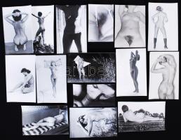 cca 1960 15db erotikus és pornó fotó /  Vintage erotic and porn photos