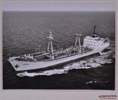 cca 1960 Petőfi és Hungaria tengerjáró hajók, 2db nagyméretű fotó kartonra kasírozva, 32,5x41cm