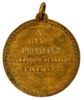 Knopp és Steiner Budapesten 1885. "Rudolf Trónörökös a kiállítás védnöke / Az 1885-iki Budapest...