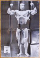 Nagyméretű Arnold Schwarzenegger poszter 63x24 cm