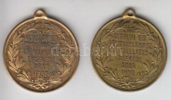1890. "Az Alföldi és Délmagyarországi Általános Kiállítás Emlékéül Arad" sárgaréz emlékére...