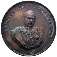 1898. Samassa József egri érsek 25. jubileumi emlékérme Br (60mm) "JOSEPHUS SAMASSA ARCHIEPPUS AGRIENSIS / PER V LUSTRA FIDE SAPIENTIA FORTITUDINE MUNIFICENTIA SUOS GUBERNANTI AD JUSTAM VIRTUTUM LAUDEM CAPITULUM ET CLERUS A DIOEC AGRIENSIS MDCCCLXXIII-MDCCCIIC" T:1-,2 Hungary 1898. 25th Jubilee medallion of archbishop Samassa from Eger Br medallion (60mm) C:AU,XF